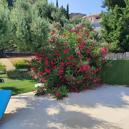 Okeanos Vine Luxury Villa Athánion