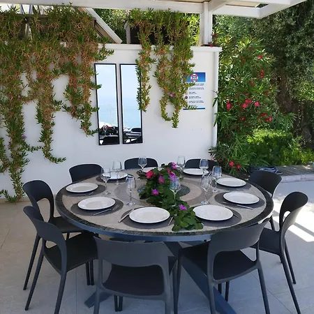 Okeanos Vine Luxury *