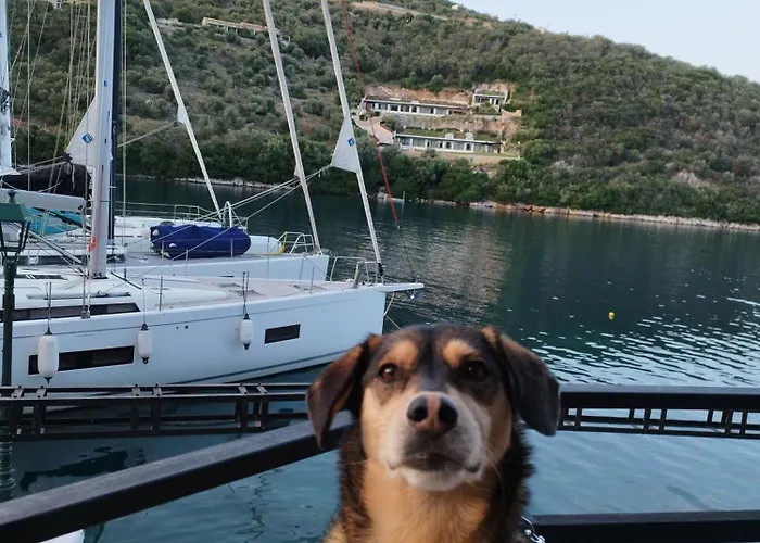Okeanos Vine Luxury Willa