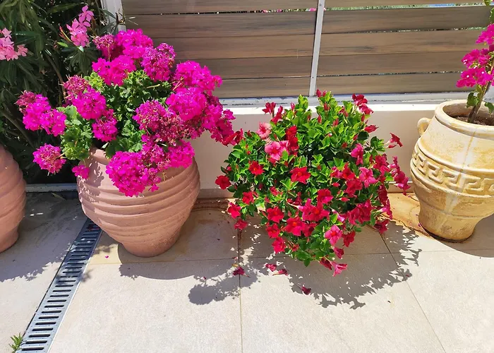 Willa Okeanos Vine Luxury